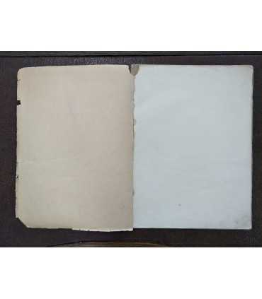 Россия и её союзники. Выпуск 1