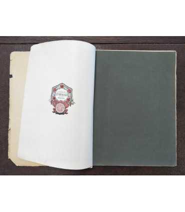 Россия и её союзники. Выпуск 1