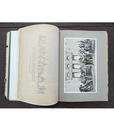 Россия и её союзники. Выпуск 1