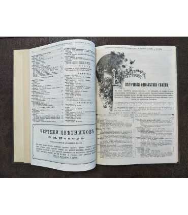 Каталог семенного хозяйства торгового дома Э.Иммер и Сын.