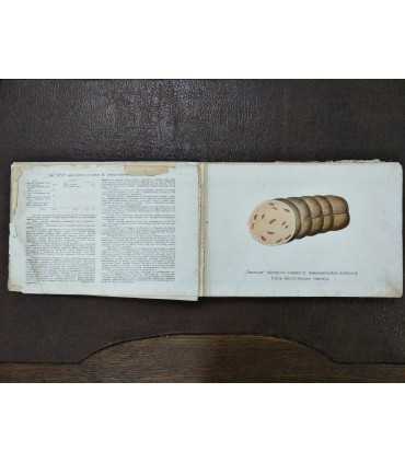 Колбасы и мясокопчености