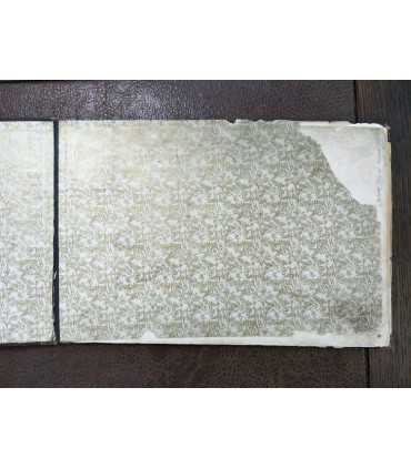 Альбом красавиц всего мира