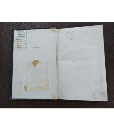 Царствование Петра II. К. Арсеньев