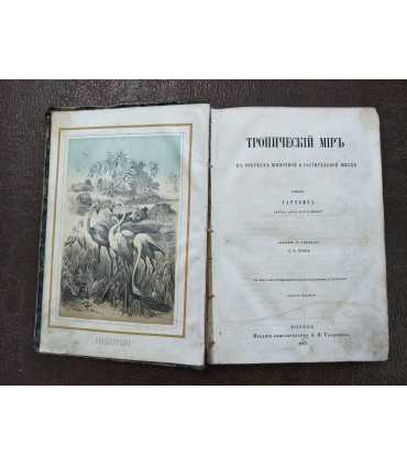 Гартвиг - Тропический мир