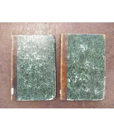 История русской словесности преимущественно древней.