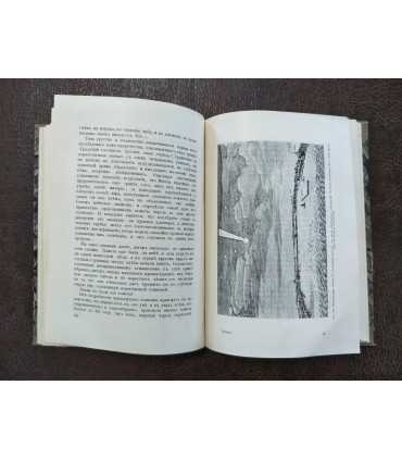 Пророки. Николай Морозов