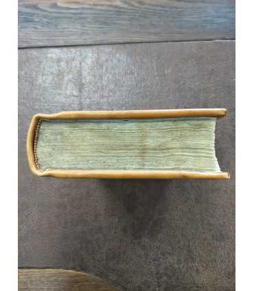 Курс теологии Ф. Прокоповича, опубликованный на латинском языке