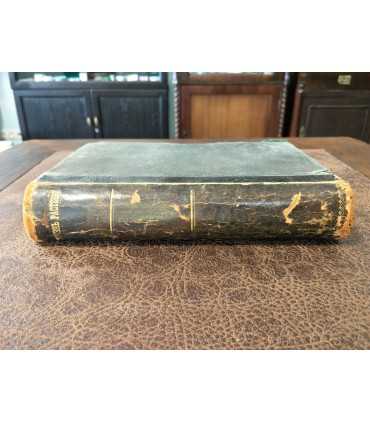 Жизнь растений.