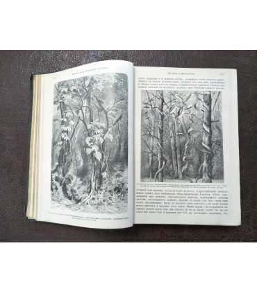 Жизнь растений.