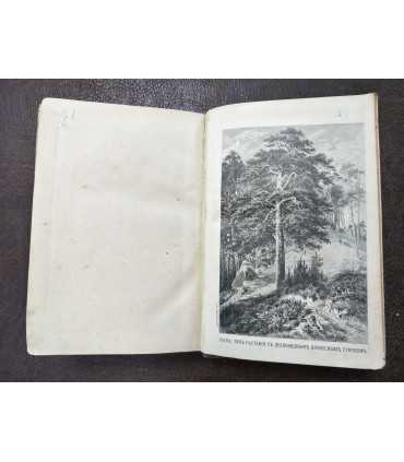 Жизнь растений.