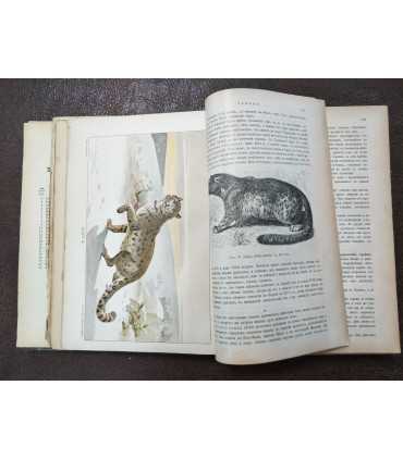 Библиотека Естествознания.