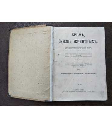 Брем, жизнь животных.