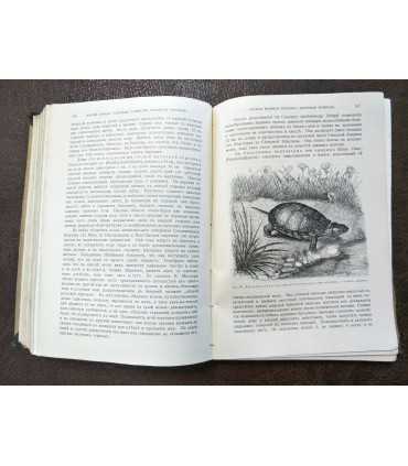 Брем, жизнь животных.