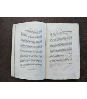 Святый лев, Папа Римский.