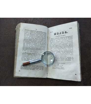 Подшивка "Молва".