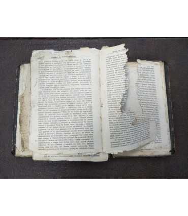 Жизнь и труды святого отца нашего Иоанна Златоуста