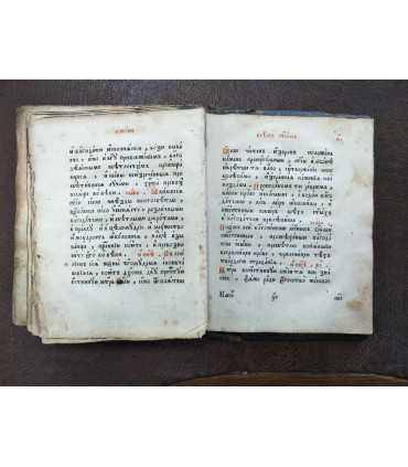 Канонник, 1888 годъ