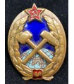 Нагрудный знак выпускника Горного Института