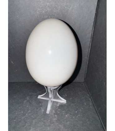 Яйцо пасхальное