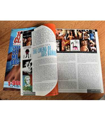 Журнал Celebrity Skin