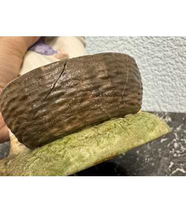 Статуэтка "Кормящая мать"