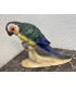 Фигура "Попугай Ара на ветке"