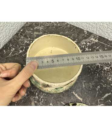 Масленка "Пень с грибами"