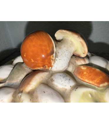 Масленка "Лукошко с грибами"