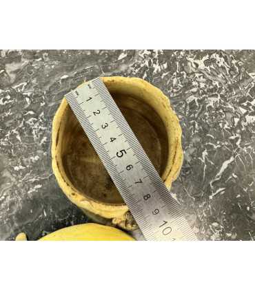 Масленка "Гном на грибе"