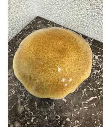 Масленка "гриб"