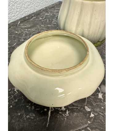 Масленка "гриб"