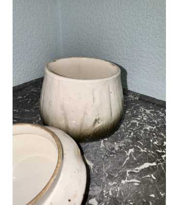 Масленка "гриб"