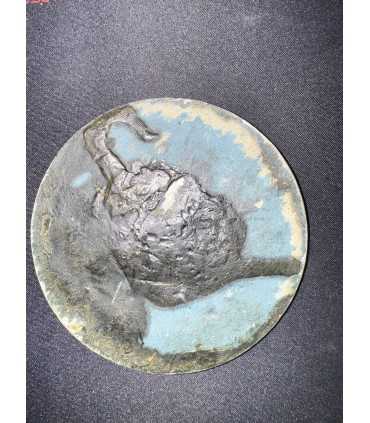 Накладка "Пятидесятилетие мещанского училища. Учрежденного купеческим обществом в память совершеннолетия цесаревича ..."