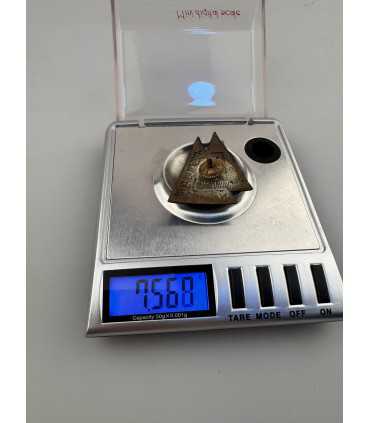 Знак "Главунивермаг"