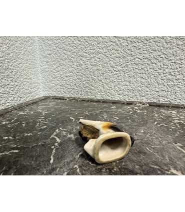 Статуэтка "Кот со скрипкой"