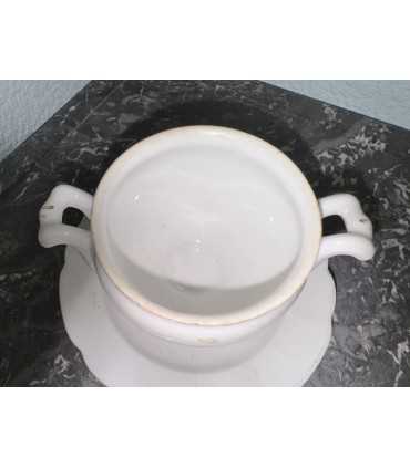 Горчичница