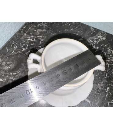 Горчичница