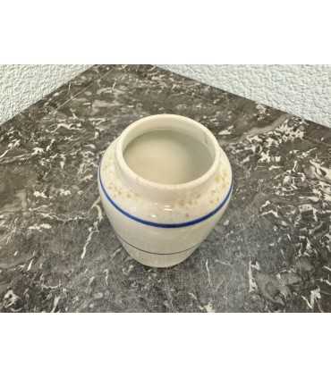 Горчичница