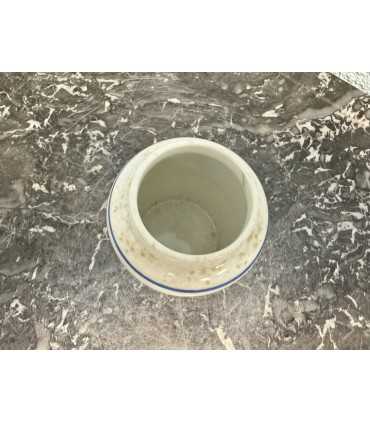 Горчичница