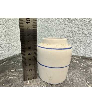 Горчичница