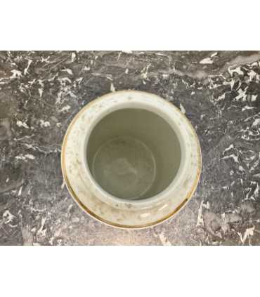 Горчичница