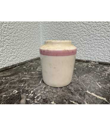 Горчичница