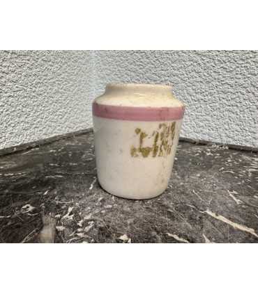 Горчичница