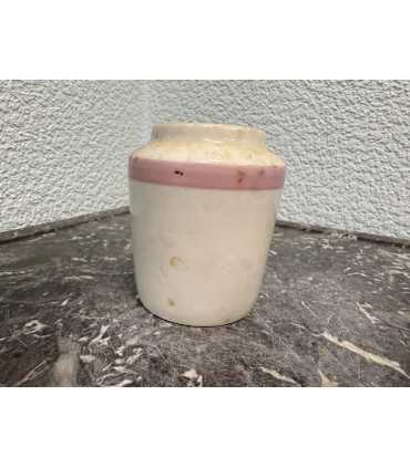 Горчичница