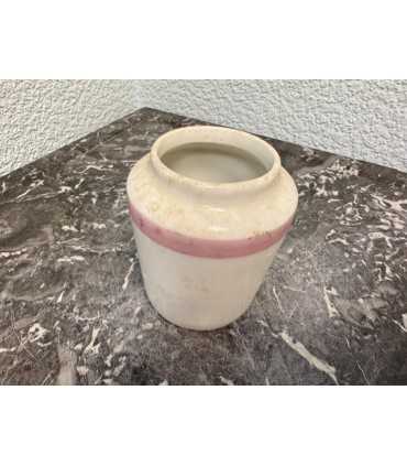 Горчичница