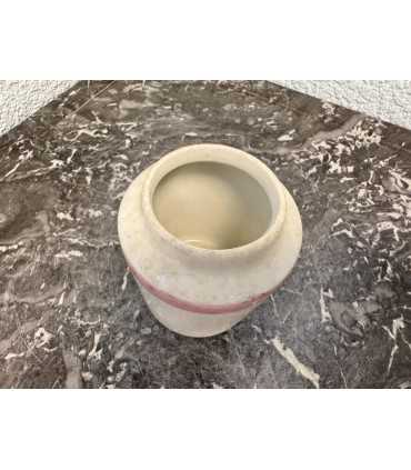 Горчичница