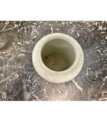 Горчичница