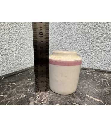 Горчичница