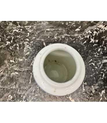 Горчичница