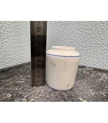 Горчичница